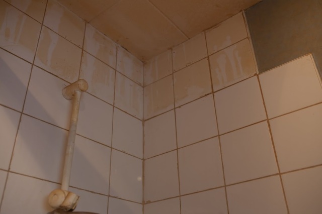 Filthy bathroom tiles